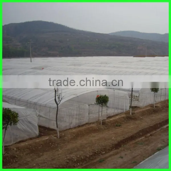 Suntex Virgin PE Protective Anti-aging Impervious Greenhouse Film,tunnel Greenhouse Roof Covers Seeding Nursery Warm House Film photo-5