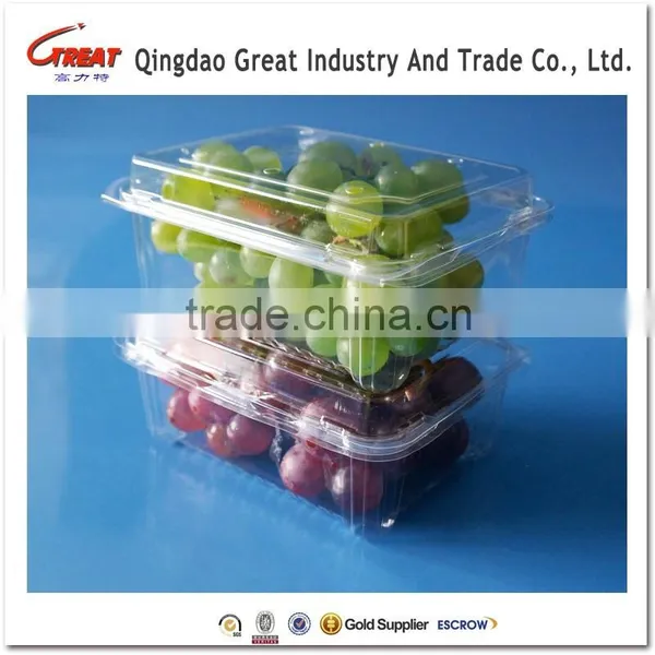 Plastic Fruit packaging container tray disposable plastic blueberry packaging container