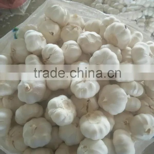 Chinese Pure White Garlic photo-6