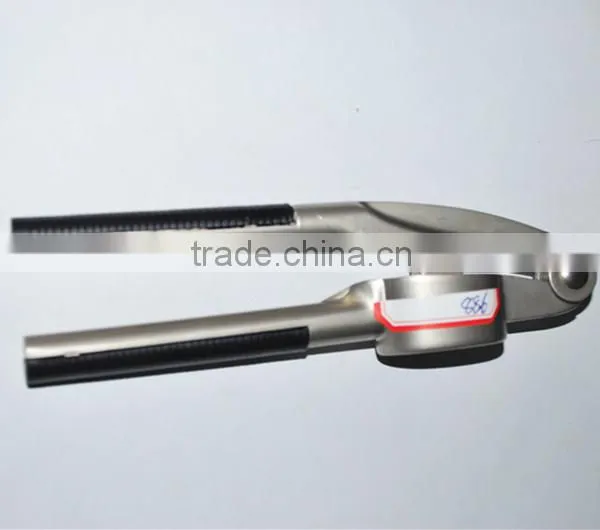 Kitchen Garlic Press