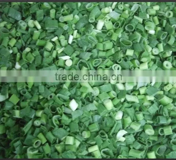 New Crop IQ Fleek/ Spring Onion Dices (4-6mm) photo-2