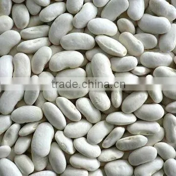 White Kidney Beans