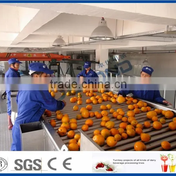 Fruit Sorting Machine photo-3