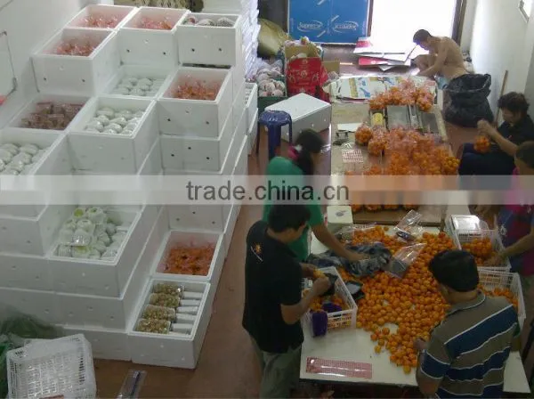 Fresh Mango Plum photo-2