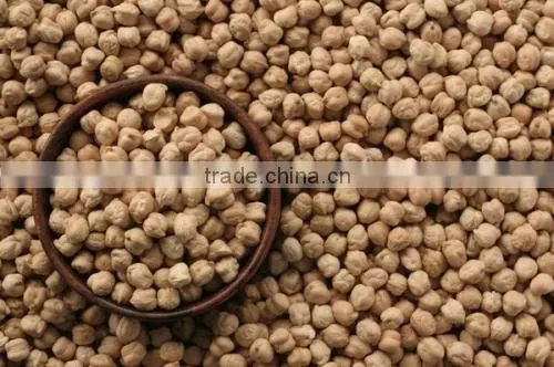 Buy Protein Chickpeas