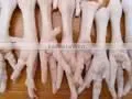 Iqf Frozen Chicken Feet photo-2