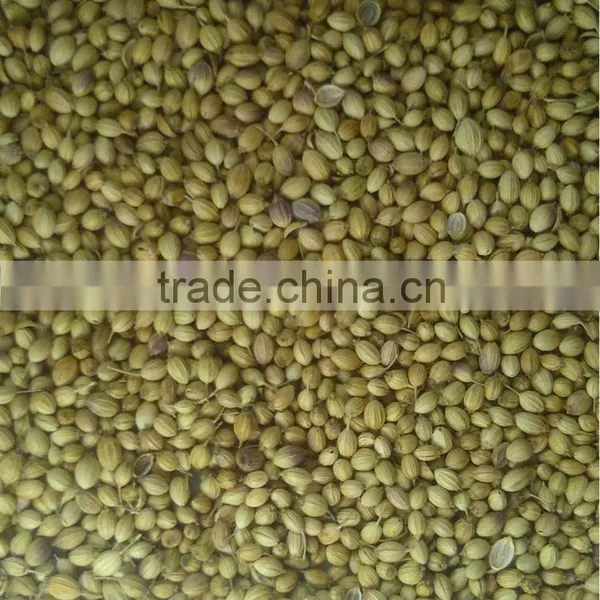 Coriander Seeds