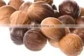 Nutmeg Seeds Without Shell Indian photo-2