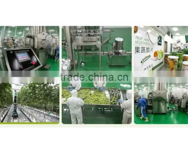 VF Stringliess Green Bean, VF Vegetables and Fruits Chips photo-4