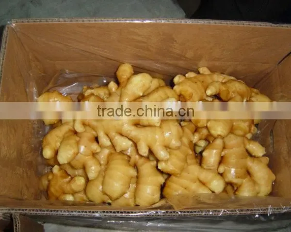 Supply Air-Dried Ginger for the UK &Spain photo-5
