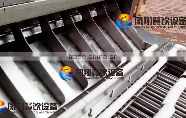 Industrial Automatic Boiled Egg Peeler Peeling Processing Machine photo-3