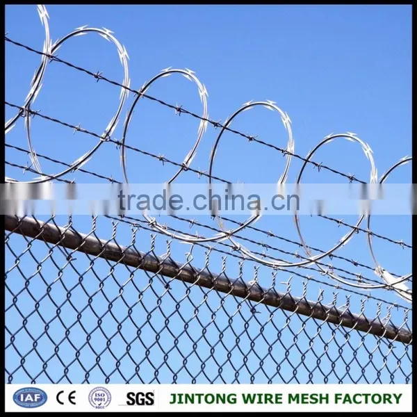 Sheep Wire Mesh Fence Barbed Wire for Sale in Kenya Market Razor Blade Barbed Wire photo-3