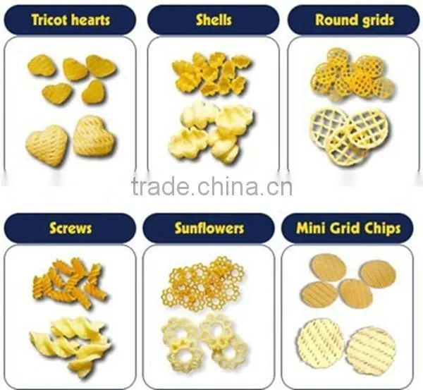 Single Screw Extruder 3D 2D Fry Snack Pellets Extruding Machine photo-3