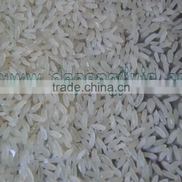 Jinan Eagle Aritificial Rice Extruder Production Line photo-4