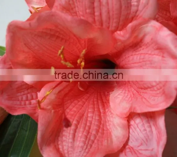 Natural Vallota Speciosa Fabric Vallota Speciosa Decorative Vallota Speciosa Artificial Flower for Wholesale photo-5