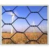 Hexagonal Wire Netting