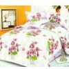 Cotton Sheet Set