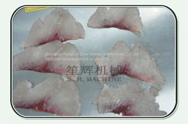 Meat Fish Slicing Machine photo-2