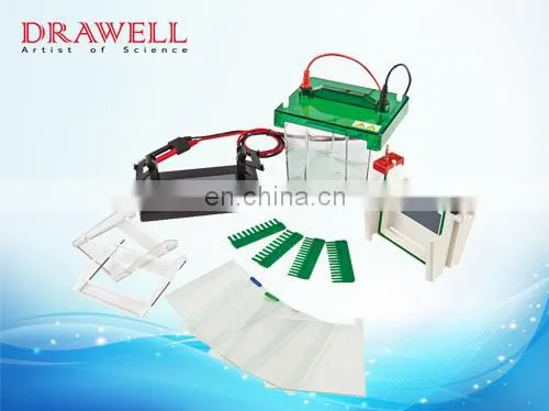 DW-SCZ2+/DW-SCZ4+ Vertical Lab Equipment For Electrophoresis Sickle Scan Kit photo-5