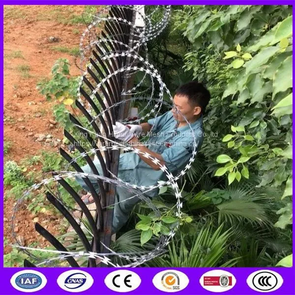 Special Carton BTO-22 Razor Barbed Wire Without Clips For Hardware Surpermarket photo-5