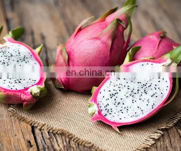 HOT SELLING TROPICAL FRUIT FRESH DRAGON/PITAYA FRUIT FROM VIET NAM photo-4