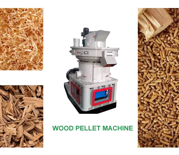 Wood Pellet Mill: High-Efficiency Solution for Sustainable Pellet Production photo-2