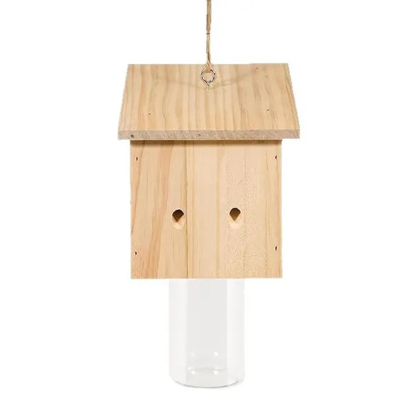 Insect Traps photo-5
