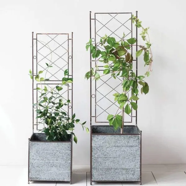 Elegant Landscaping Wrought Iron Garden Fence | Modern Privacy Screen With Trellis photo-3
