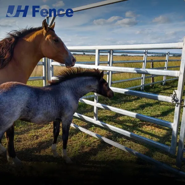 Heavy-Duty Horse Panel: Unbreakable Solid Steel Wall Designed to Withstand Powerful Kicks and Impacts