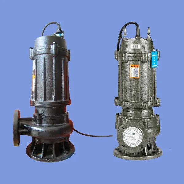 my Dream Qxf Submersible Sewage Pump for Fields photo-5
