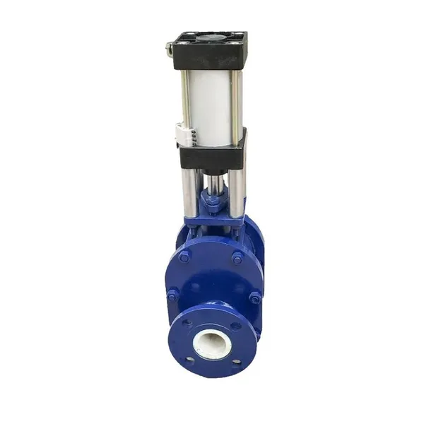High Quality Double Plate Gate Valve From the Factory photo-2