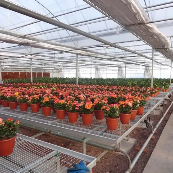 Hot‑Dip Galvanized Mobile Seedbed Special For Commercial Flower Greenhouse Potted & Cut‑Flower Growing