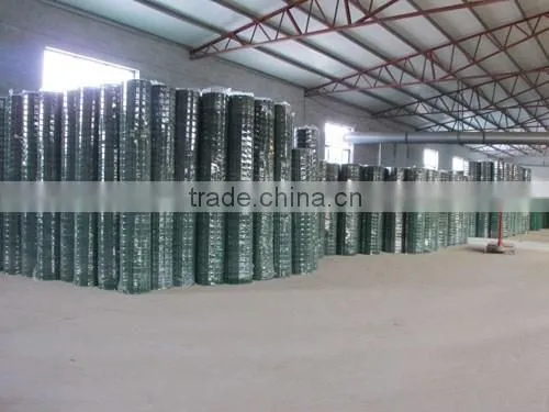 1/2 Inch Welded Wire Mesh/PVC Coated Welded Wire Mesh