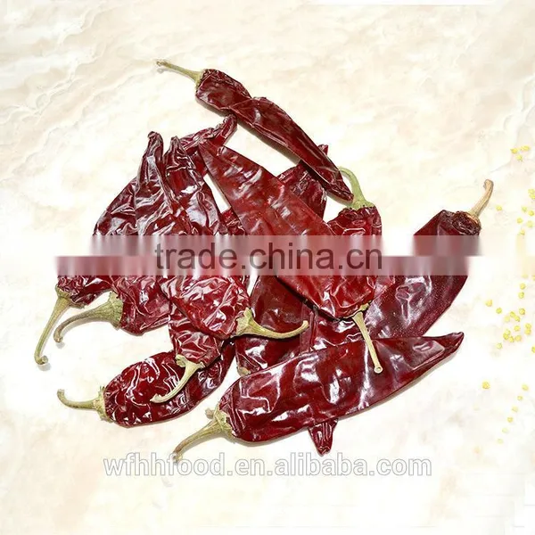 2016 New Corp Red Chili Sauce photo-4