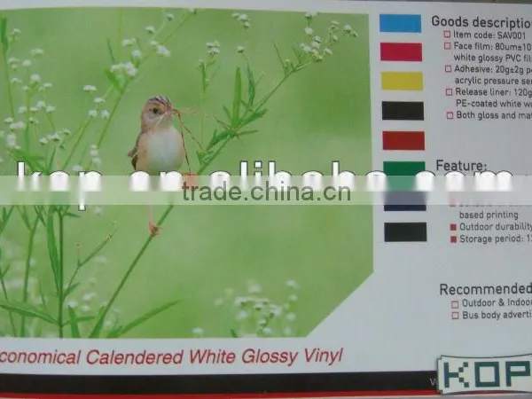 Economical Calendered White Glossy Vinyl photo-2