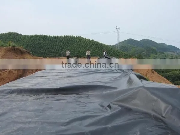 Waterproof Membrane Hdpe Black Film photo-2