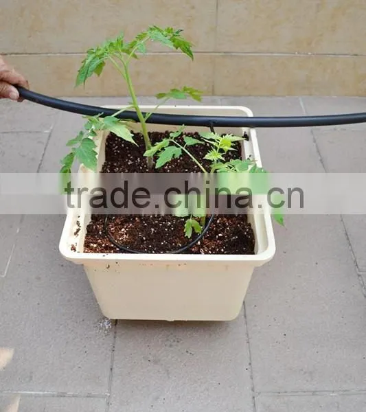 Tomato Dutch Bucket Hydroponics System for Greenhouse photo-2