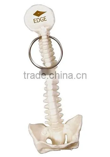 Customized Spine and Pelvis Bone Plastic Key Chains