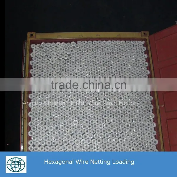 The Lowest Price Galvanized Wire Chicken Wire Mesh photo-6