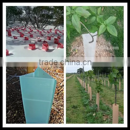 Light Green Corflute Plant Guard/vine Wrap/tree Guard/tree Protector/shelter photo-2
