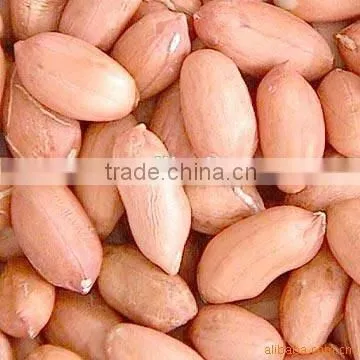 Peanut Price of Red Skin Peanut Kernel With Peanuts 1kg Price photo-5