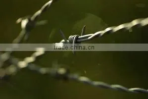 Variety Size Wire Barbed Razor Security Fences Gavanized