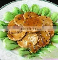 Isolated Soy Protein for Extrusion Foods photo-6