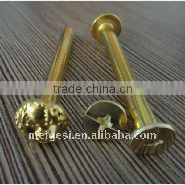 Special Binding Head Machine Screw