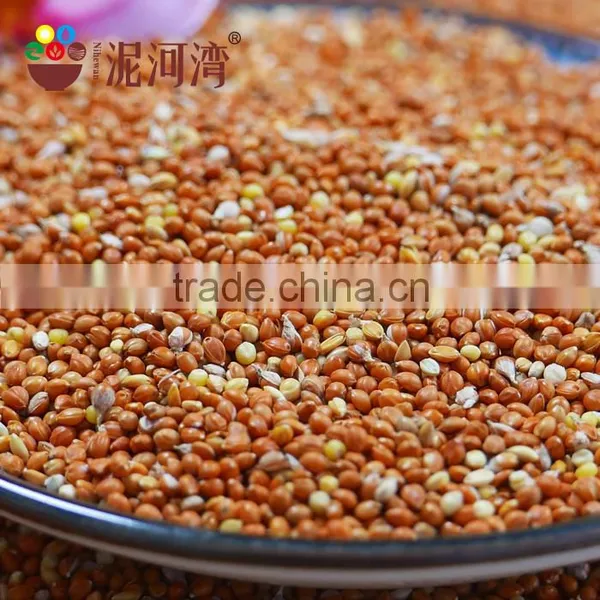 Best Price of Red Broomcorn Millet 2015 Crop Market Price photo-2