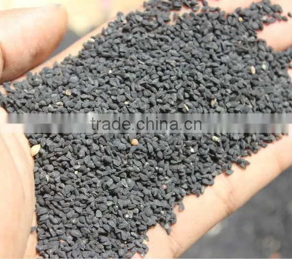 Black Cumin Seed 2015
