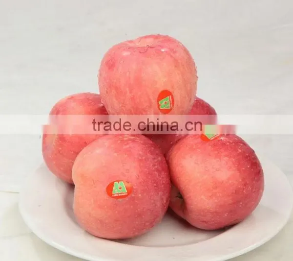 Fresh Fuji Apple photo-3