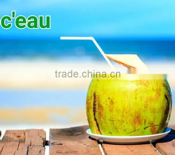 Thailad Coconut Juice/Coconut Drink/Coconut Water 310 ml photo-2