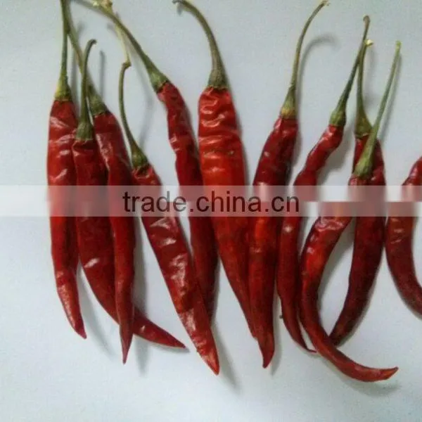 Indian Dry Red Chilli