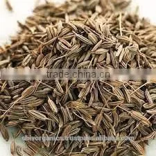 Caraway Oil photo-3